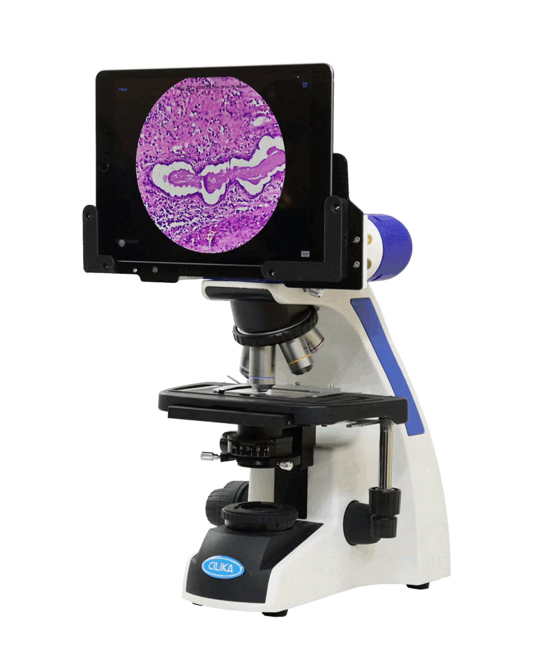 Cilika Benchtop Microscope with Variable Viewing Angle