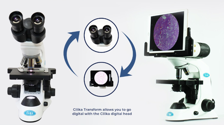 CILIKA Transform allows you to go digital with the Cilika digital head