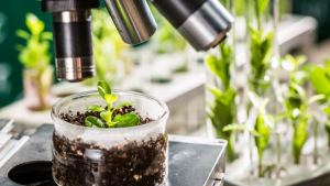 Microscopic Examination of Plant Diseases is Critical