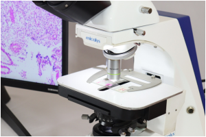 automated microscopes