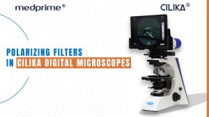 All you need to know about polarizing microscopes